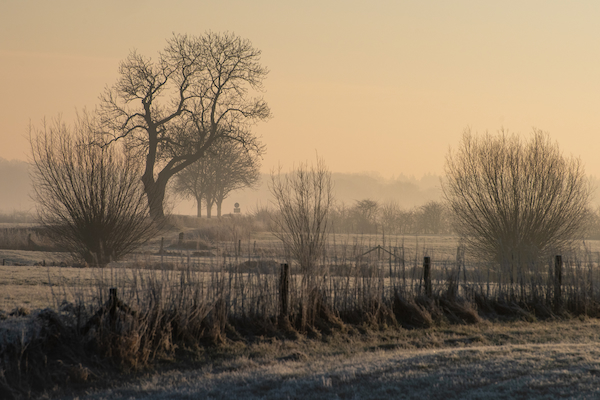 Misty landscape